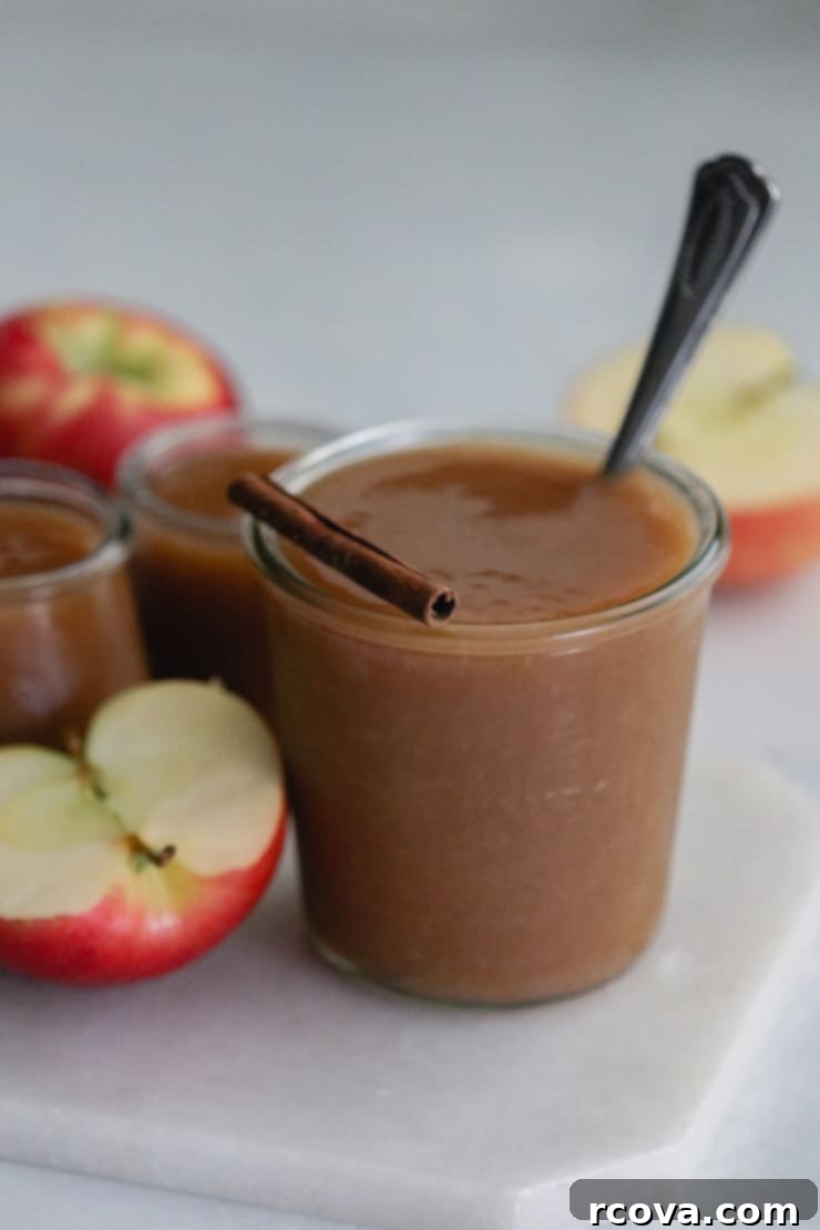 Effortless 4-Ingredient Slow Cooker Apple Butter 27 featured 10162