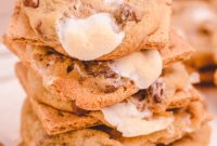 Chocolate Chip S’mores Cookies