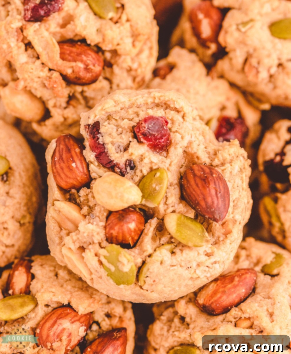 Trail Mix Peanut Butter Cookies: The Adventurous Bite 1 featured 10528