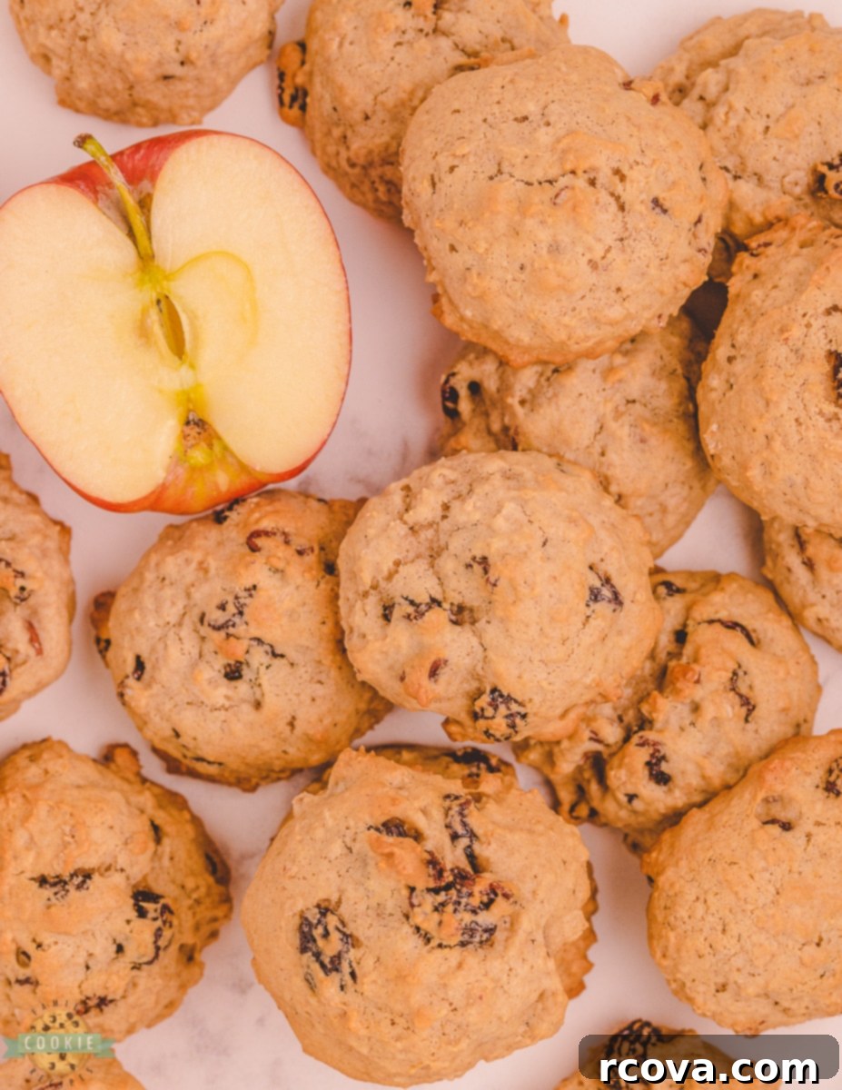 Wholesome Applesauce Oat Treats 1 featured 10530