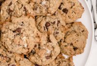 Toasted Marshmallow Oat Delights