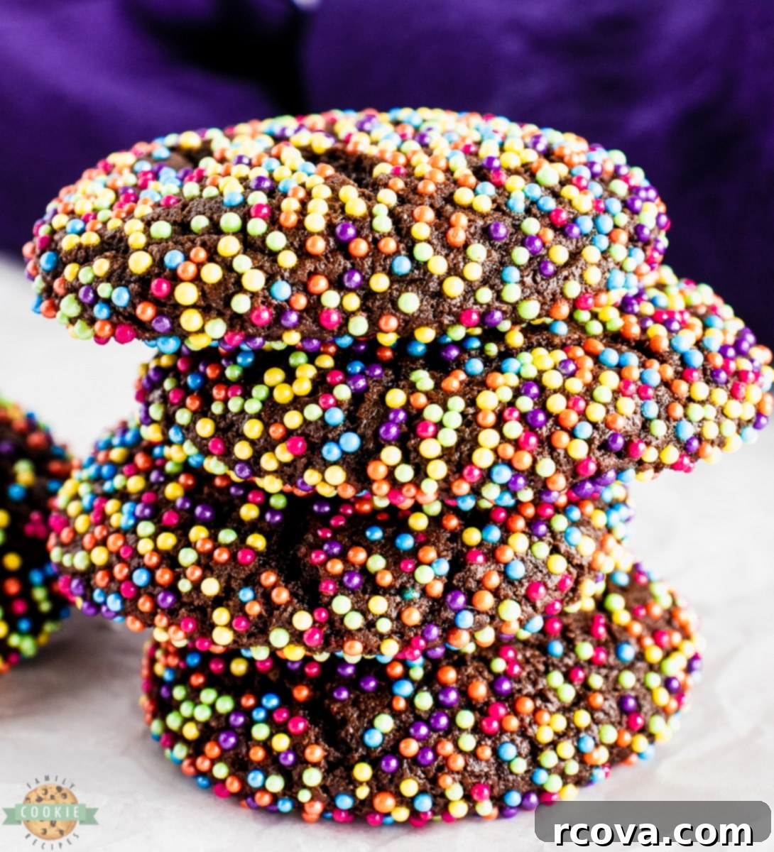 Confetti Chocolate Cookies 1 featured 11374