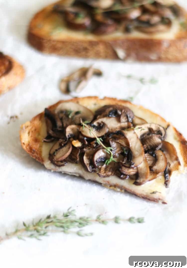 Roasted Mushroom & Melty Fontina Tartine 1 featured 11875