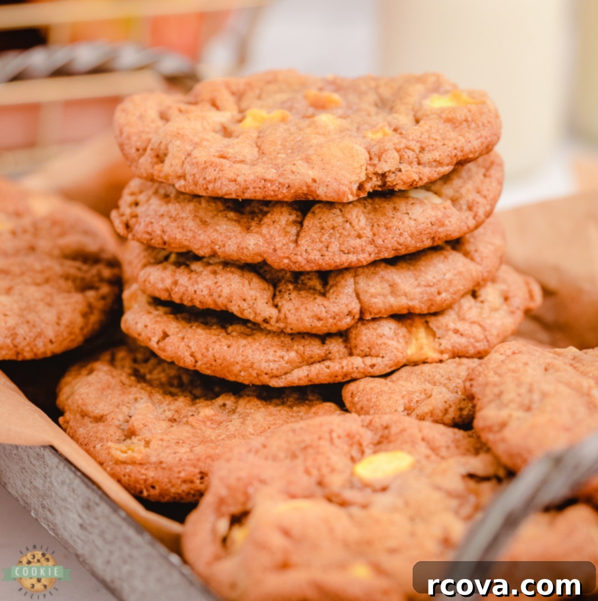 Hearty Apple Cinnamon Cookies 1 featured 12136