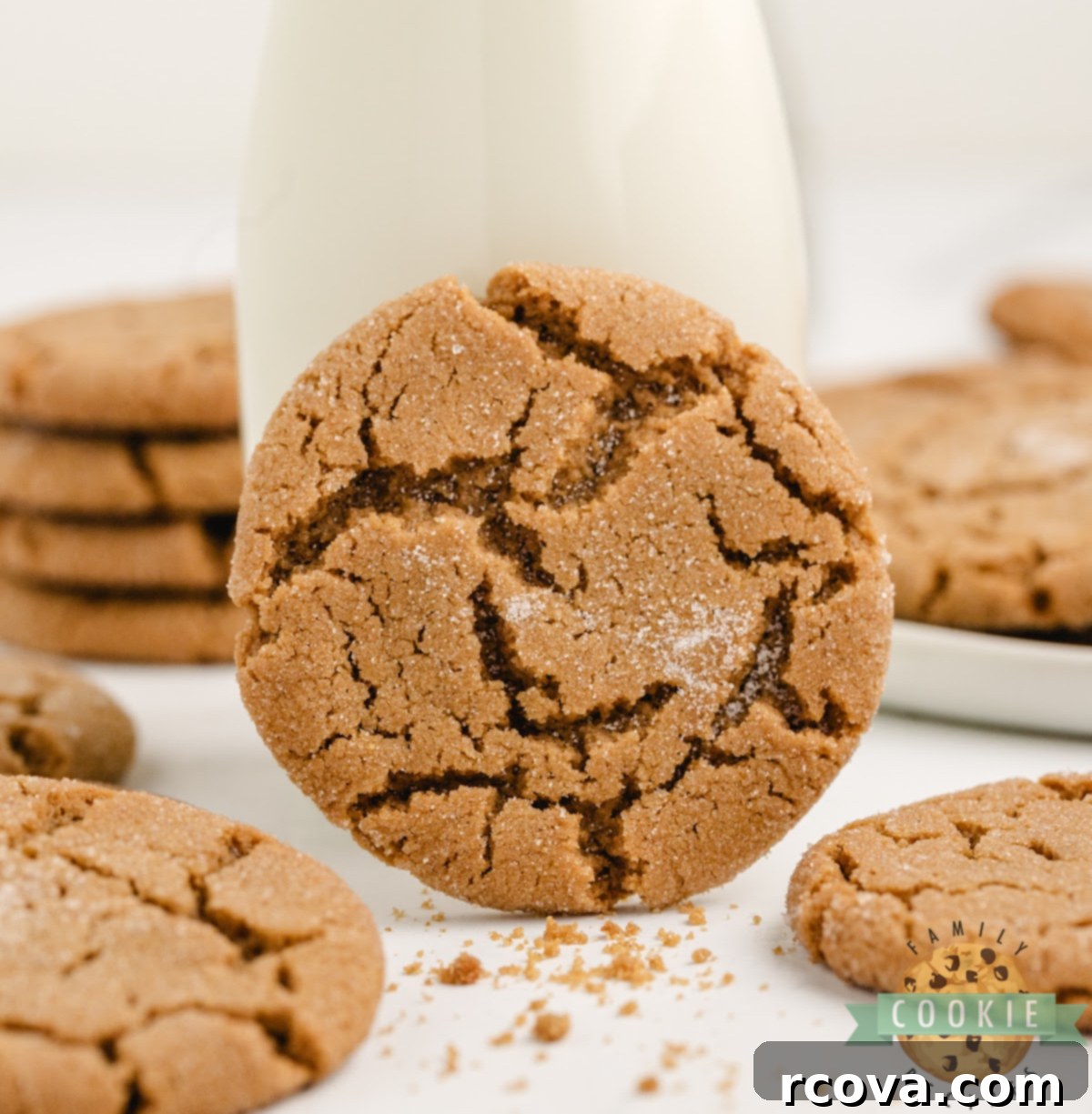 Cozy Ginger-Spiced Cookies 1 featured 1227