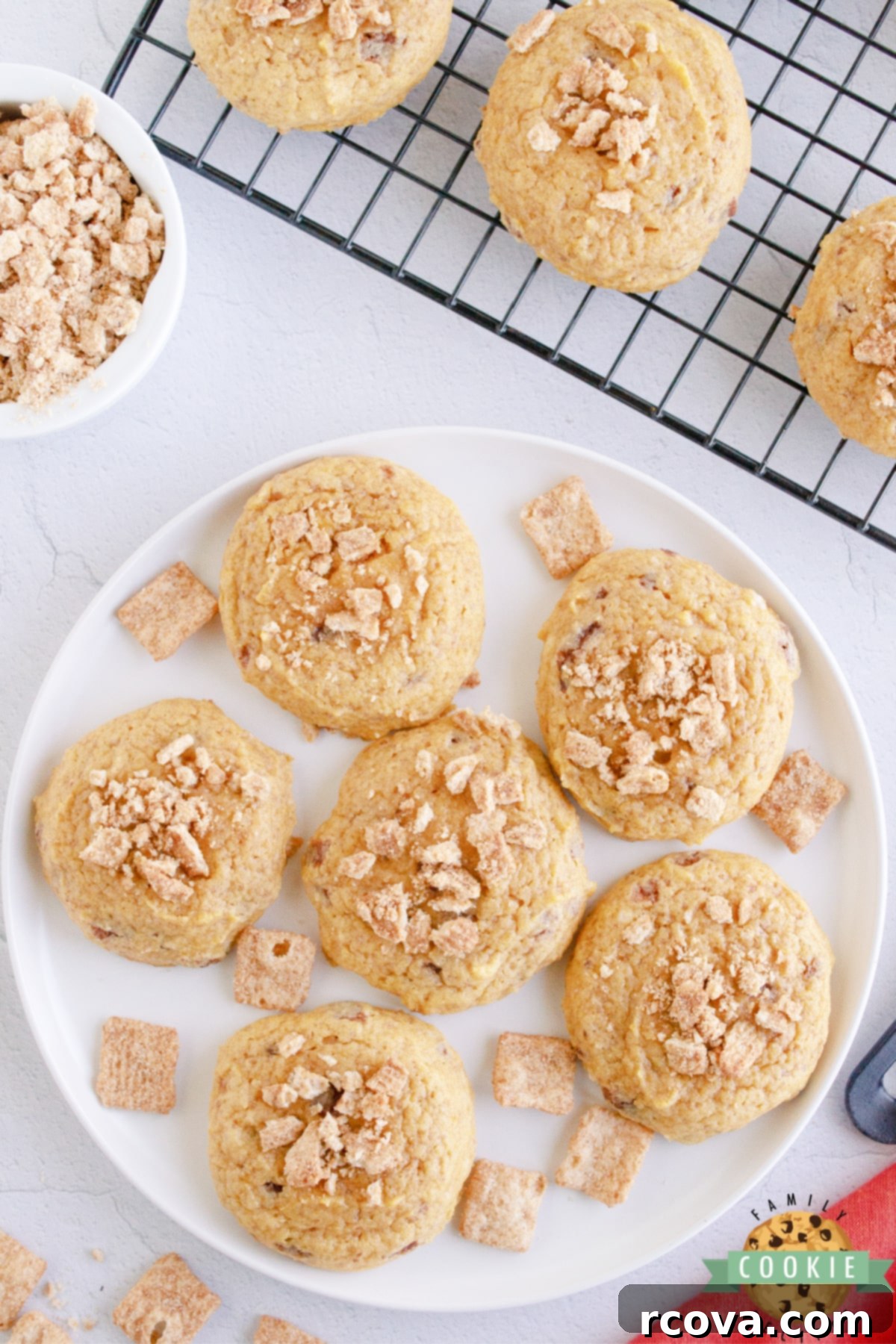 CTC Pumpkin Spice Cookies 1 featured 12466