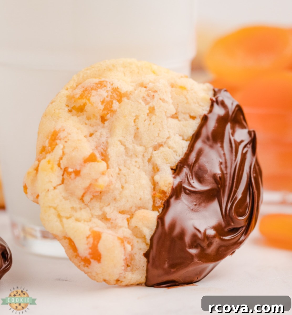 Golden Apricot Treats 1 featured 12717