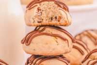 Melty Choc-Chip Perfection