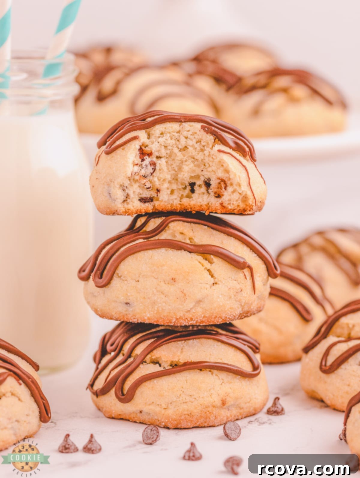 Melty Choc-Chip Perfection 1 featured 13608