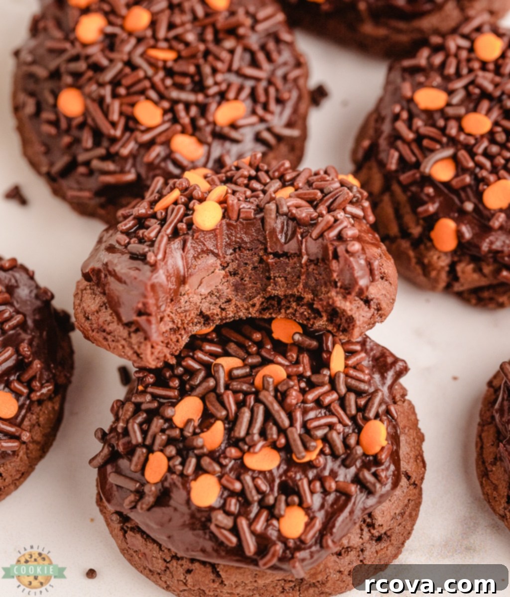 Bewitching Brownie Cookies 1 featured 14017