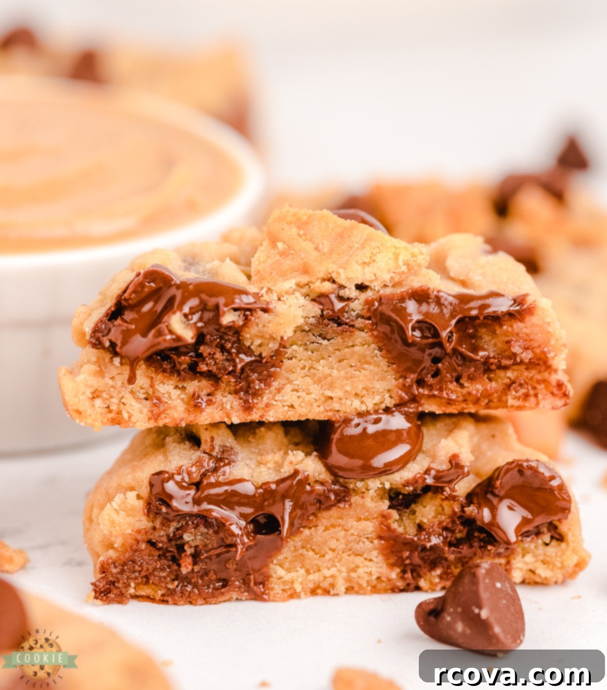 Ultimate Nutter Butter Chocolate Chip Peanut Butter Cookies 1 featured 14443