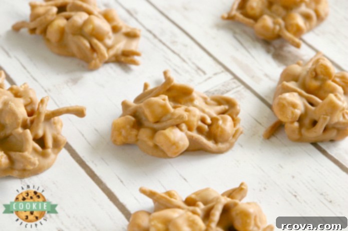 Gooey Peanut Butter Marshmallow No-Bake Bites 44 featured 1511
