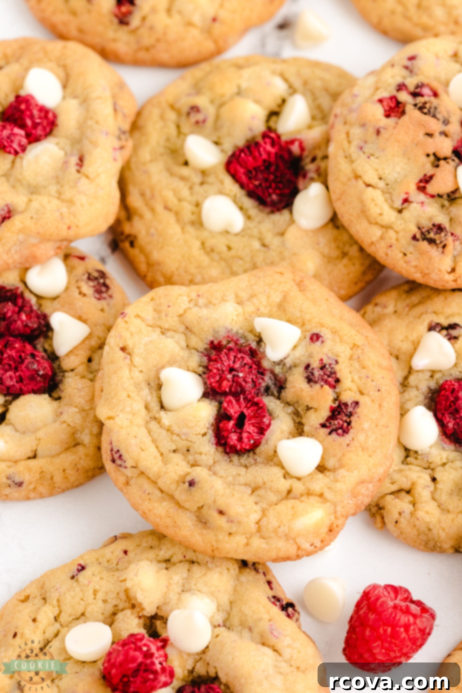 Decadent Raspberry White Chocolate Cookies 1 featured 15505