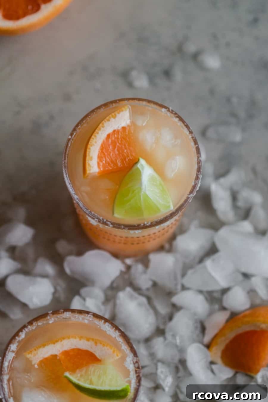 Garden Salty Dog 1 featured 15767