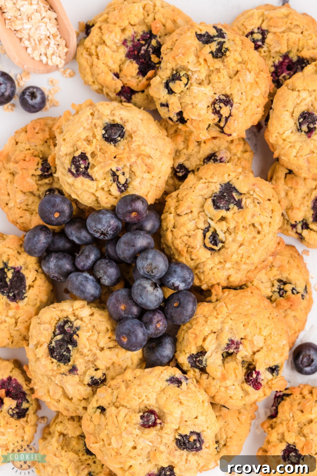 Soft and Chewy Blueberry Oatmeal Cookies 1 featured 16565