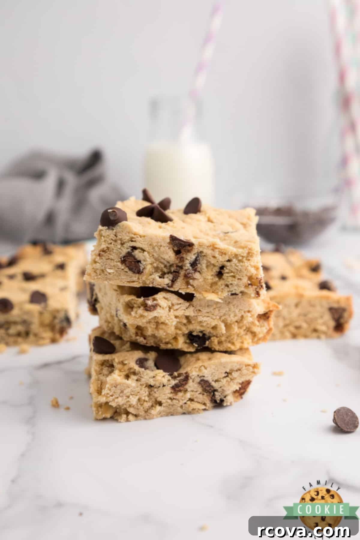 Oatmeal Chocolate Chip Delights 1 featured 1662