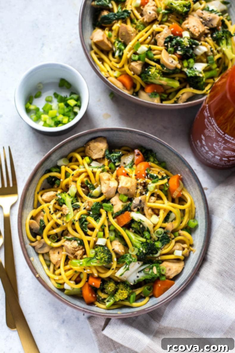 Quick and Easy Yakisoba Noodles Instant Pot or Stovetop 1 featured 16790