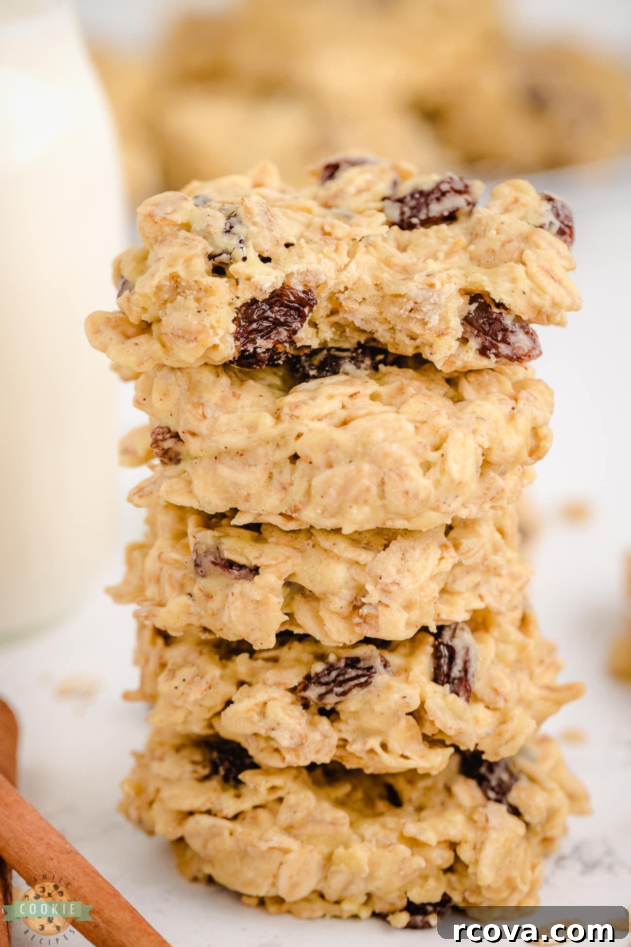 Easy No-Bake Oatmeal Raisin Cookies 1 featured 17183