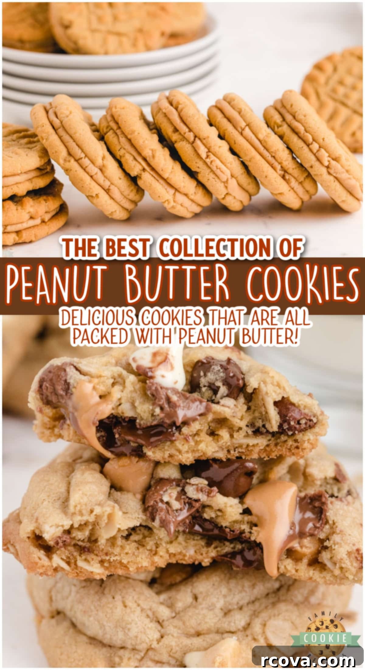 Peanut Butter Cookie Bliss 1 featured 17421