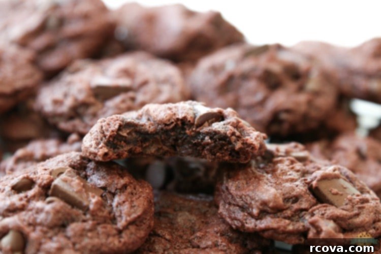 Decadent Double Chocolate Chip Pudding Cookies 1 featured 1925