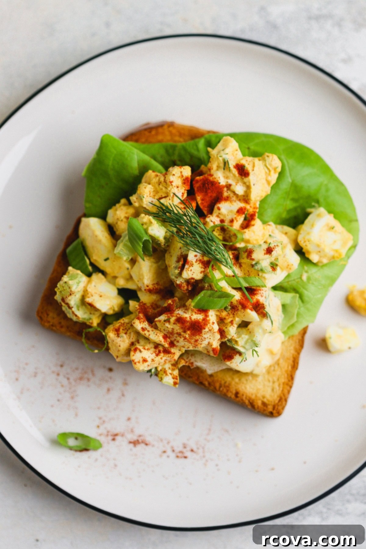 Zesty Celery and Pickle Juice Egg Salad 1 featured 19755