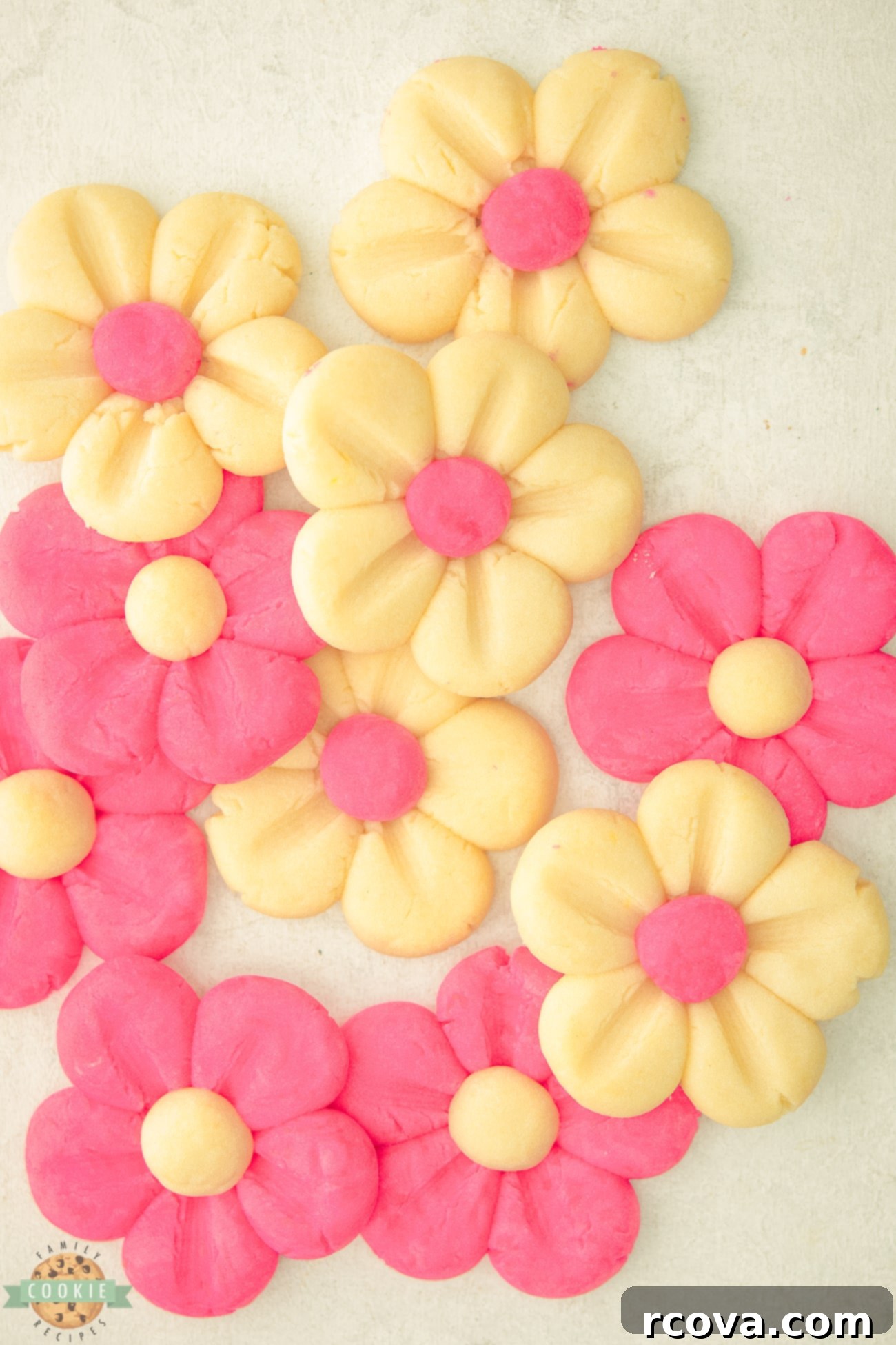 Blushing Daisy Delights 1 featured 20735