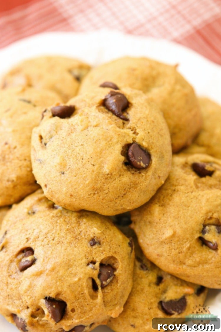 Soft & Chewy Pumpkin Chocolate Chip Cookies 1 featured 2085
