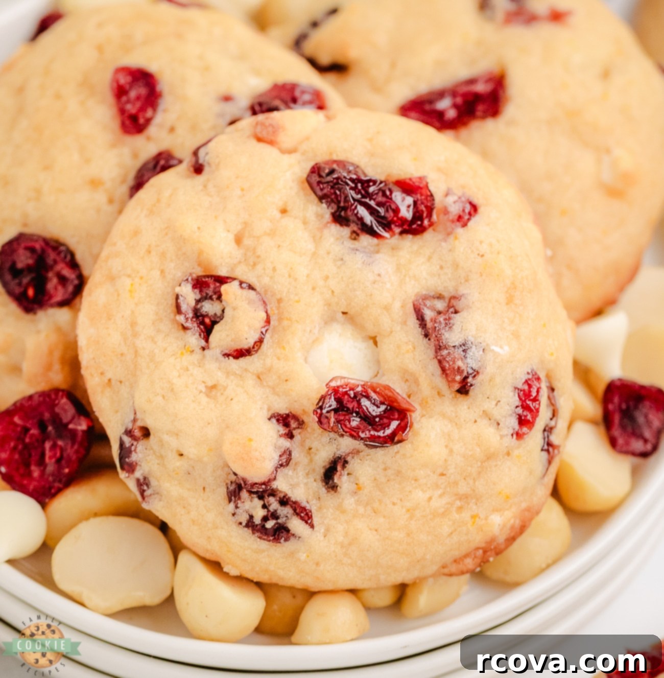 Luscious Macadamia Cranberry Cookies 1 featured 21534