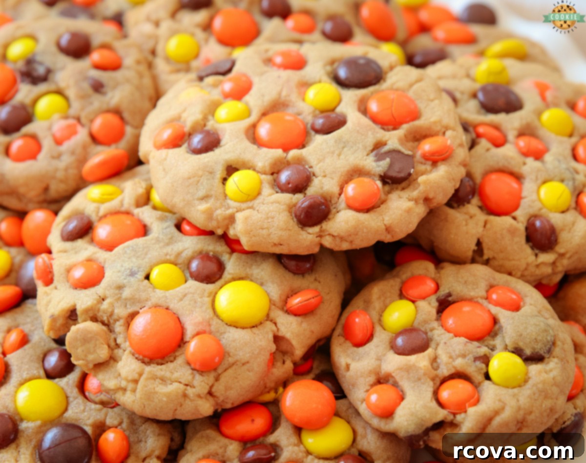 REESE'S PEANUT BUTTER COOKIES 1 featured 217