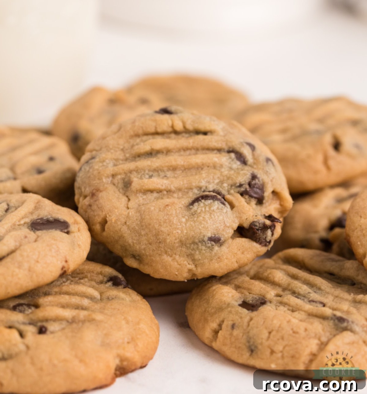 Decadent Peanut Butter Chocolate Chip Delights 1 featured 219