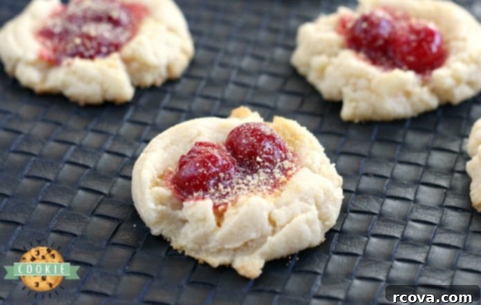 Cherry Cheesecake Delights 1 featured 237