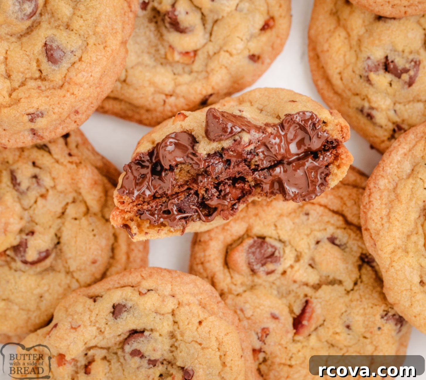 Toasted Walnut Chocolate Chip Delights 1 featured 24406