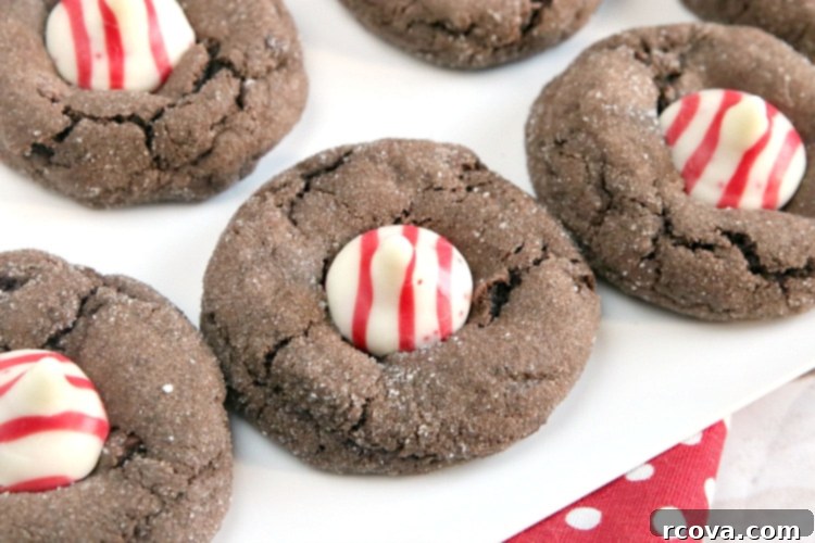 Holiday Chocolate Peppermint Blossoms 1 featured 2455