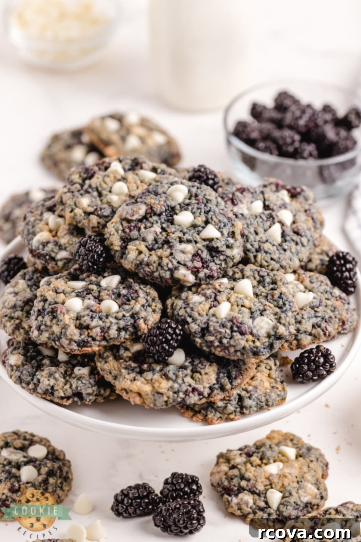 Blackberry Oatmeal Delights 1 featured 246