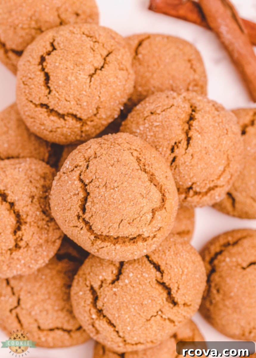 Spiced Pumpkin Gingersnap Cookies 97 featured 248