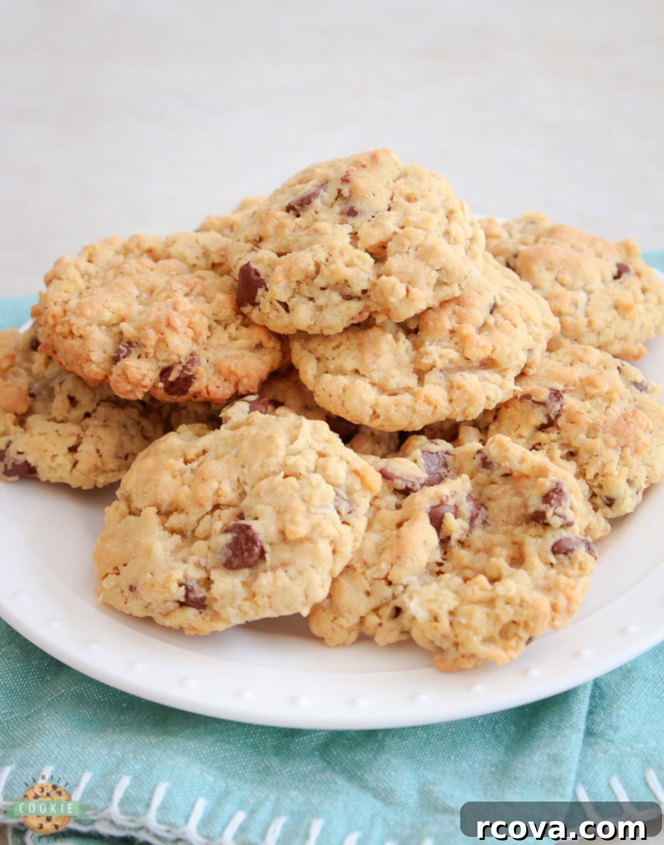Trailblazer Chocolate Chip Cookies 1 featured 25263