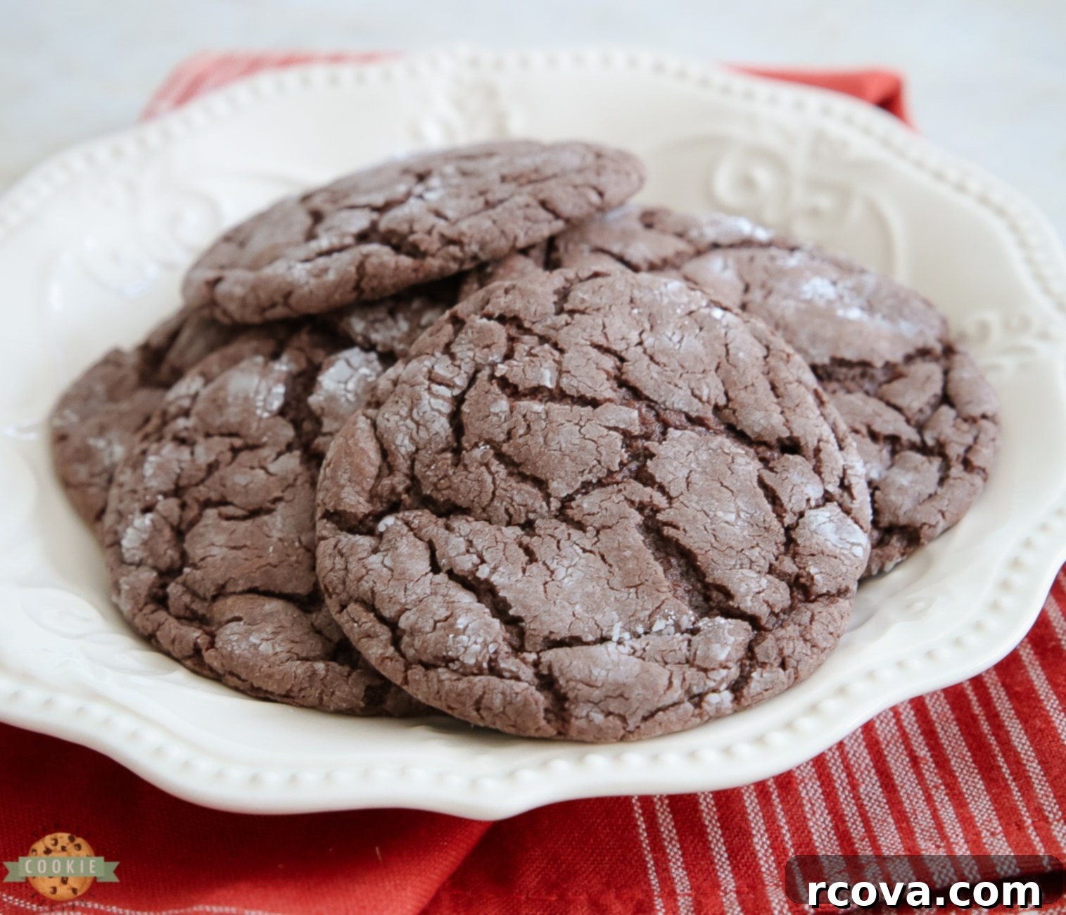 Festive Cocoa Crinkles 1 featured 25266