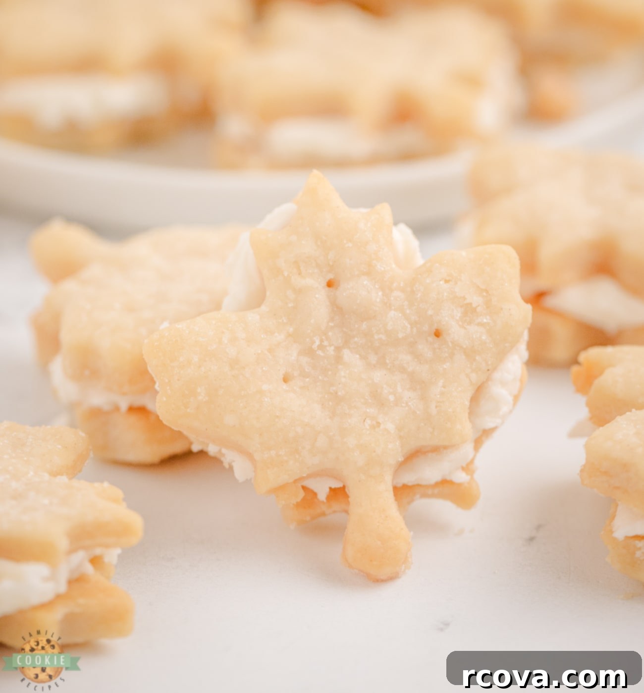 Golden Maple Sandwich Delights 1 featured 25466