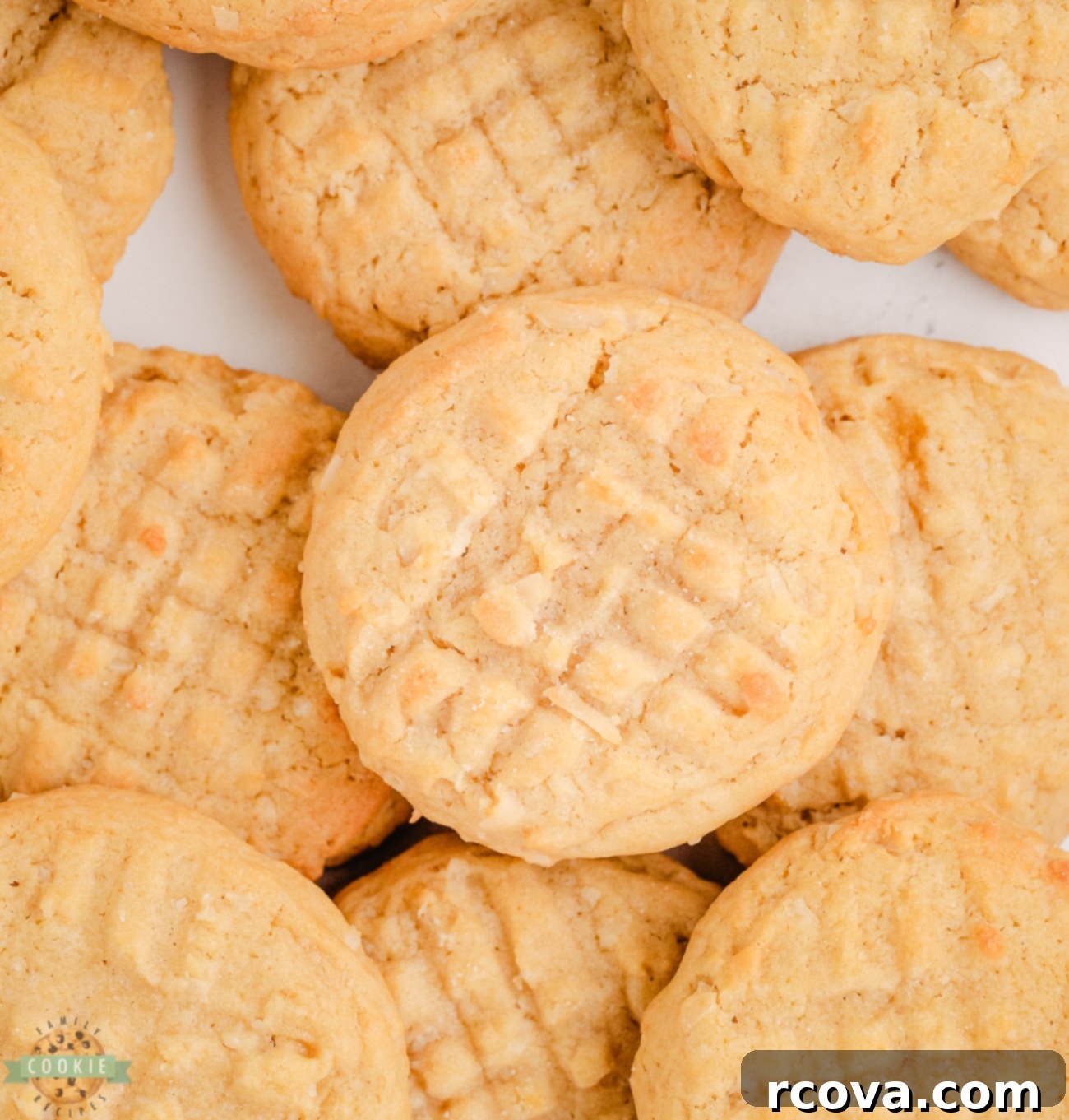 Tropical Coconut Chews 1 featured 25475