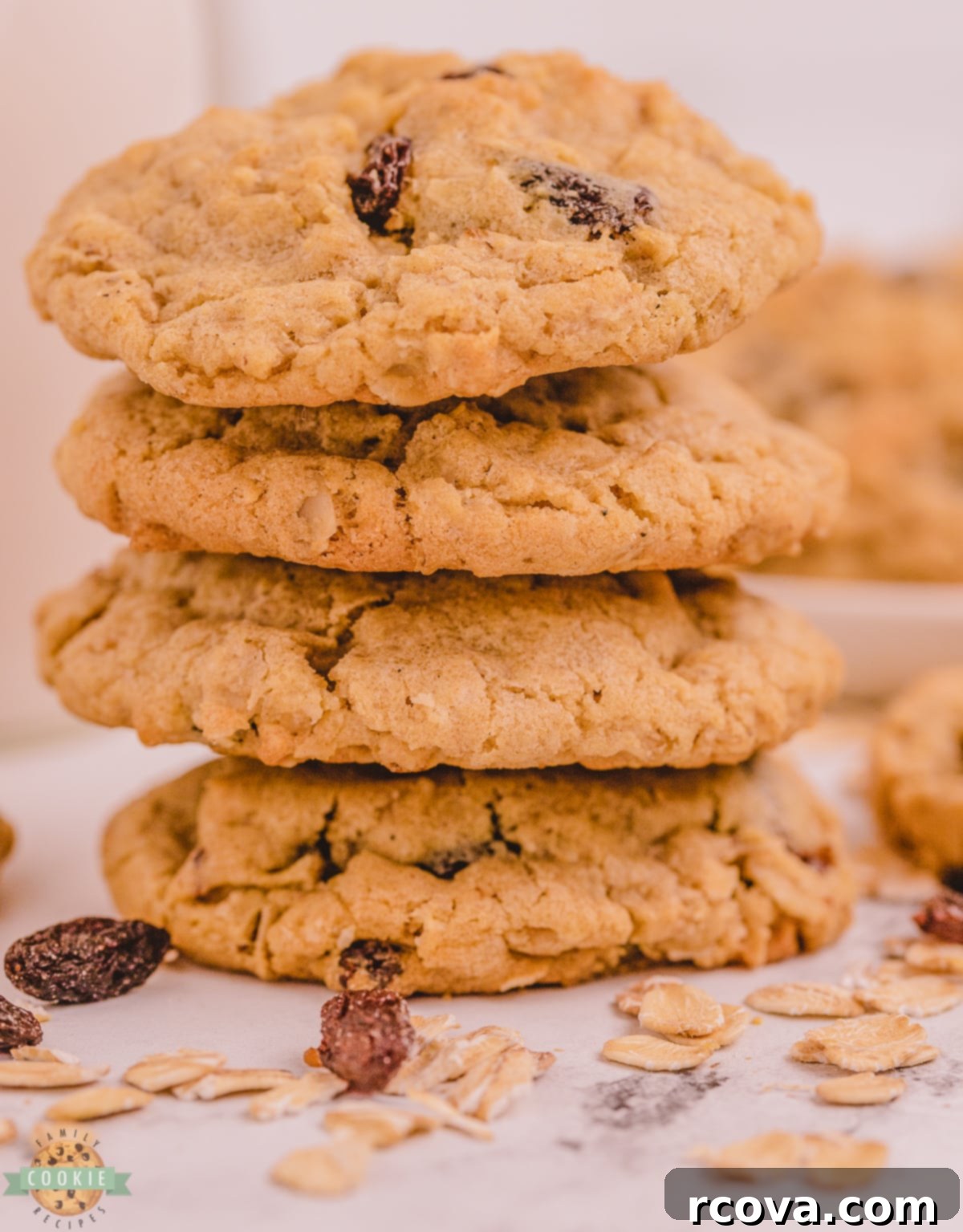 Irresistible Oatmeal Raisin Cookies 1 featured 264