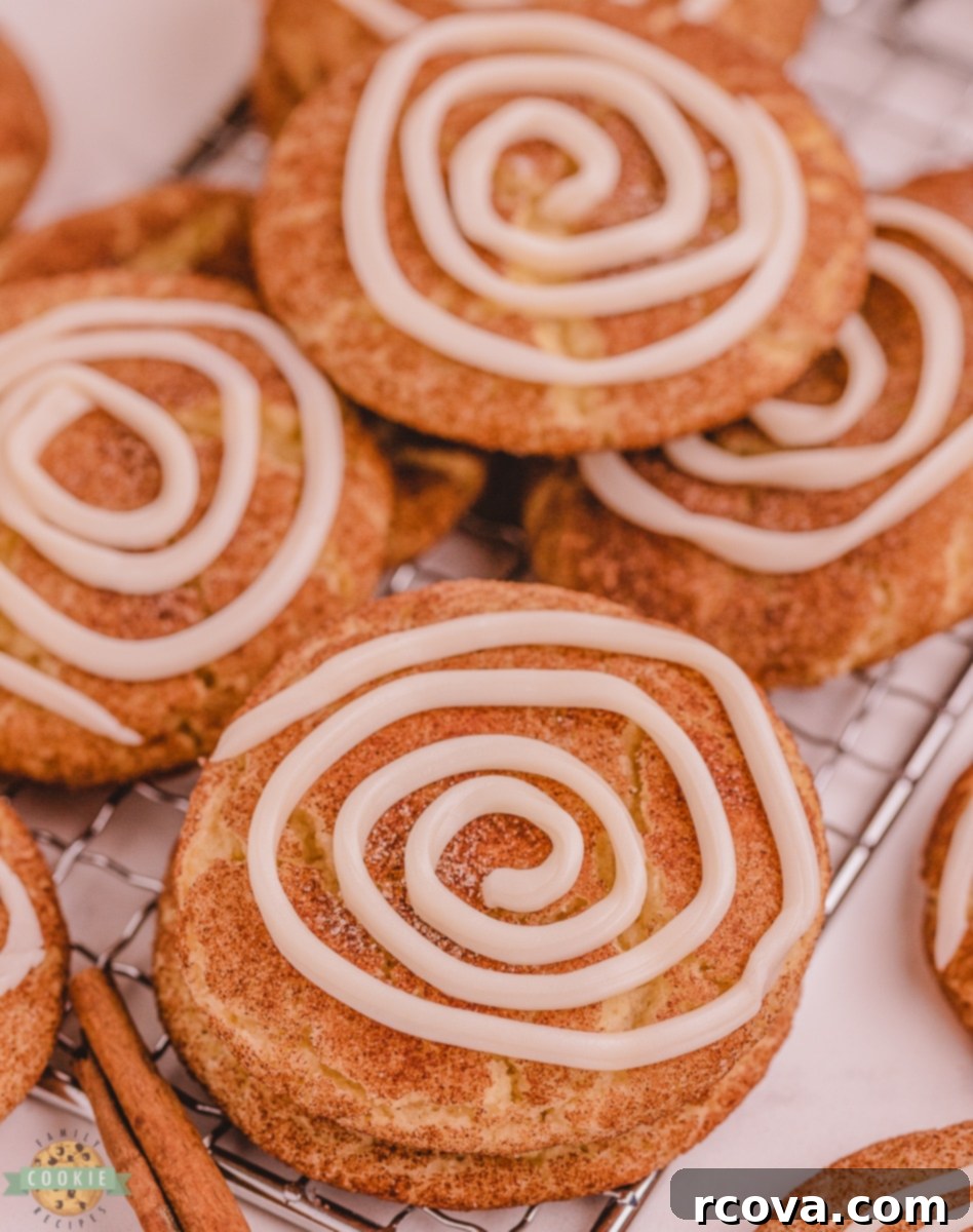 Cinnamon Swirl Doodles 61 featured 282
