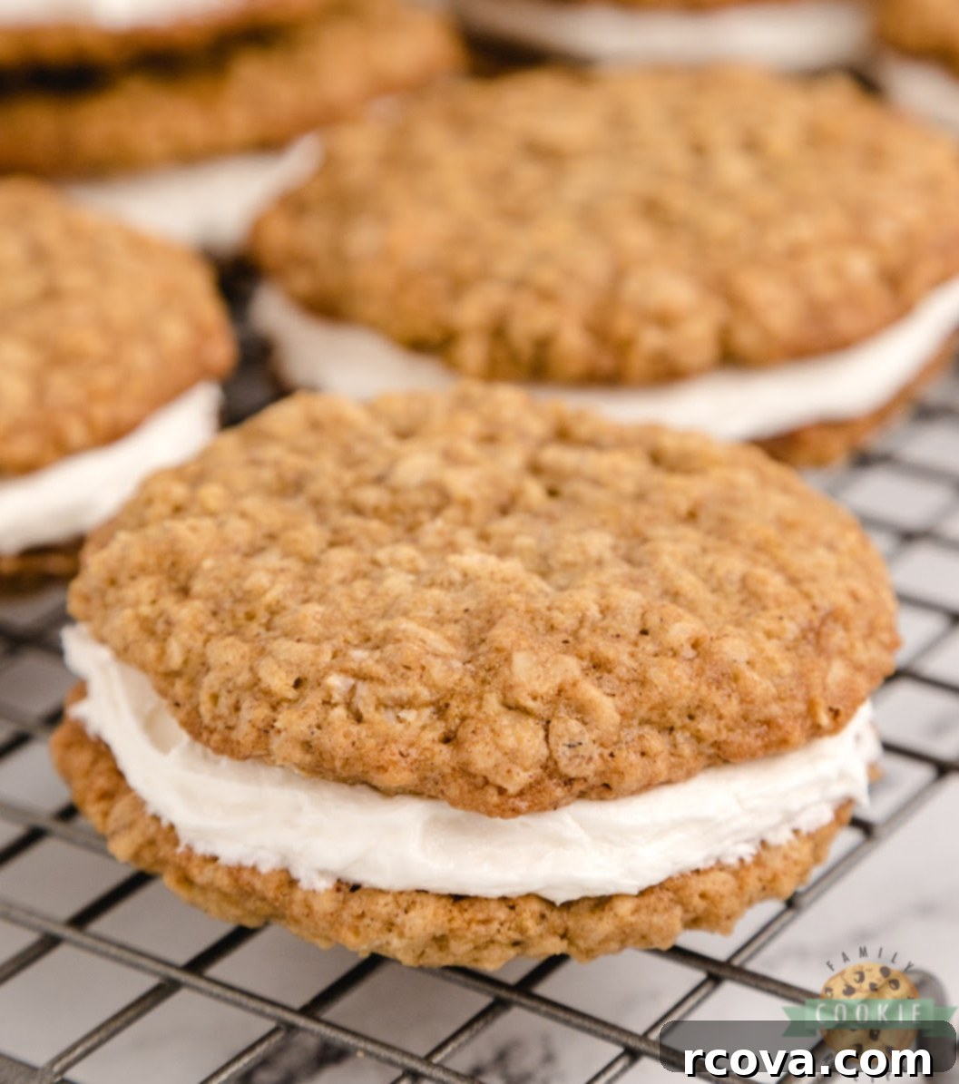Dreamy Oatmeal Cream Cookies 1 featured 3099