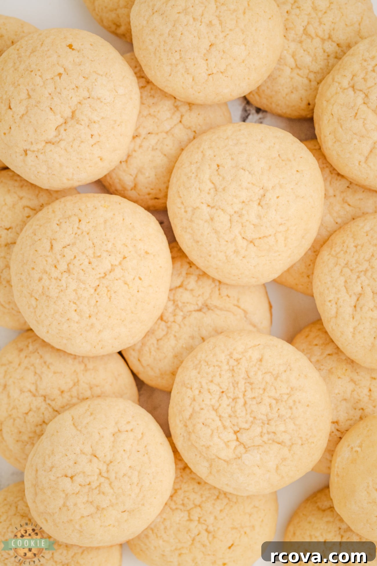 Homemade Nilla Wafers 1 featured 32107