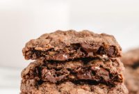 Decadent Double Chocolate Oatmeal Delights
