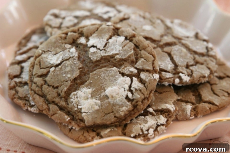Cozy Cinnamon Chocolate Crinkles 1 featured 3420