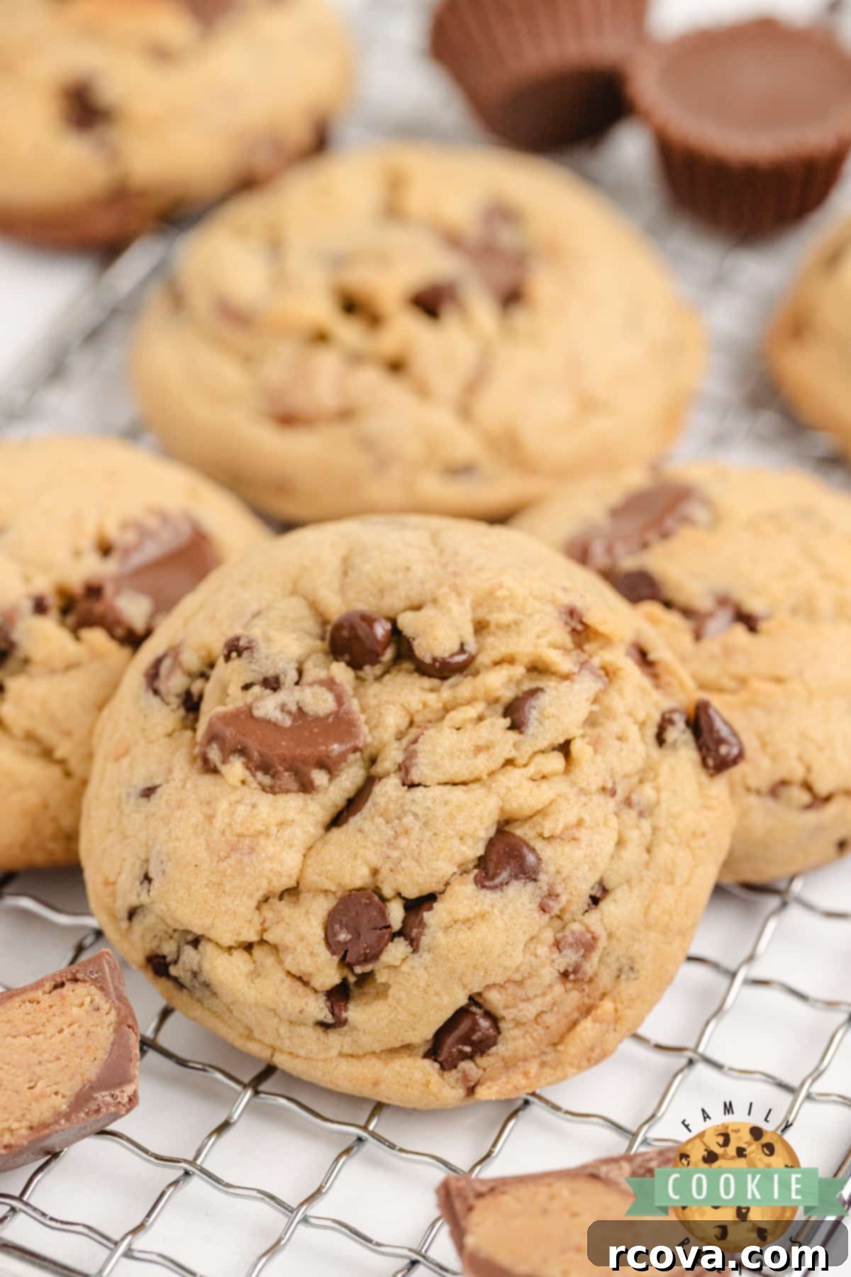 Reese's Peanut Butter Pudding Cookies 1 featured 3483
