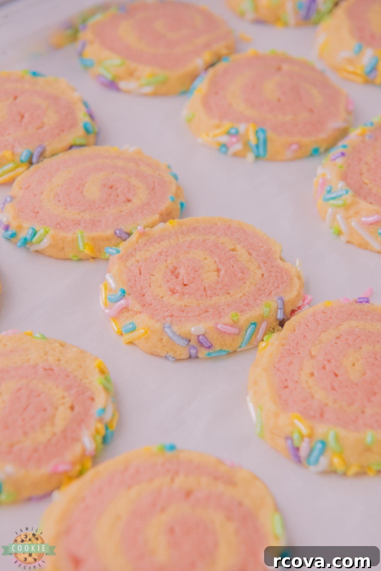 Timeless Pink Swirl Delights 1 featured 36447