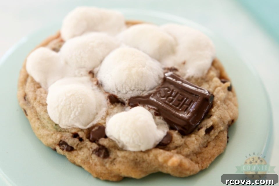 Gooey S'mores Cookies 76 featured 3661