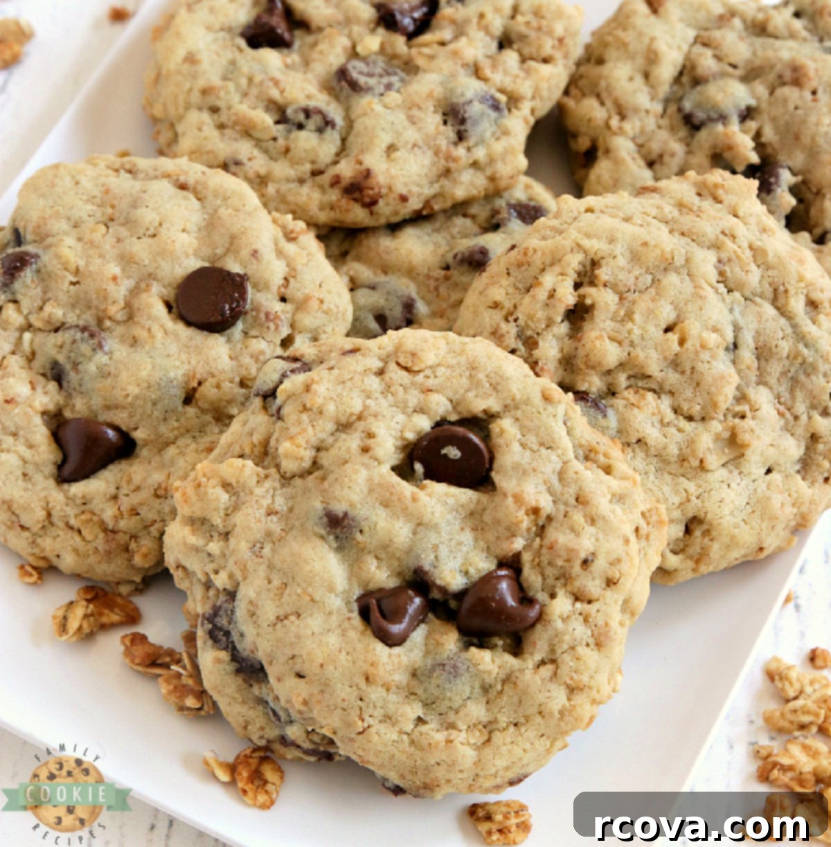 Crunchy Granola Chocolate Delights 54 featured 3780