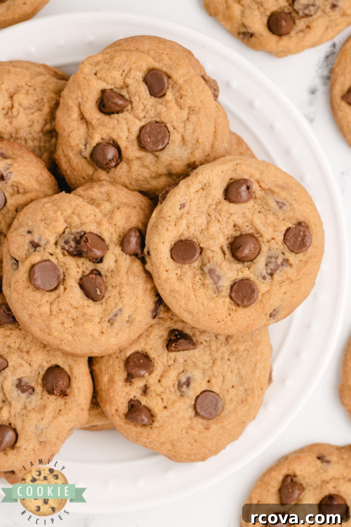 Golden Butterscotch Chocolate Chip Cookies 1 featured 3862